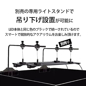 アポロ　ZENSUI LED ライト　白色　青色２本セット アポロ ZENSUI LED ライト 白色 青色2本セット アポロ ZENSUI